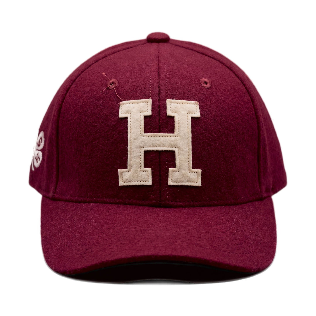 Chesapeake's BASEBALL H BORDO Bordo - foto 1